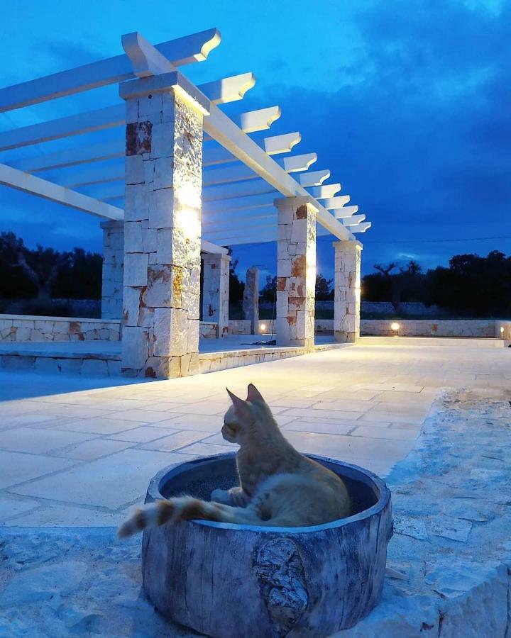Le Chiancarelle, Casa Vacanza Alberobello Ngoại thất bức ảnh