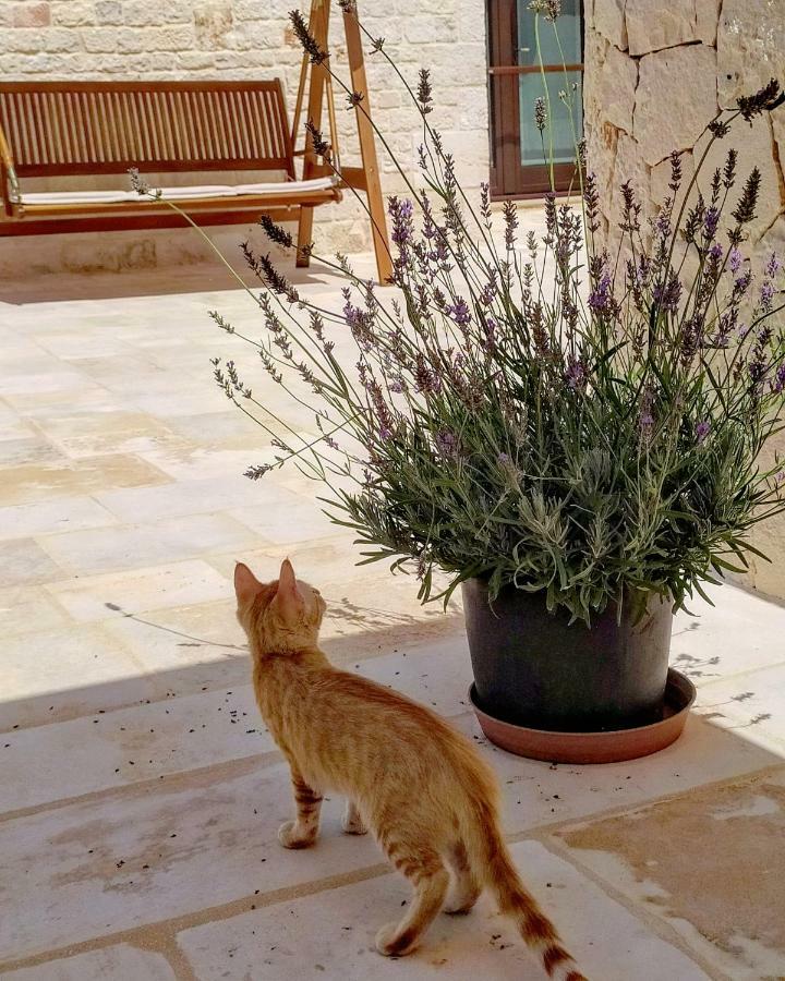 Le Chiancarelle, Casa Vacanza Alberobello Ngoại thất bức ảnh